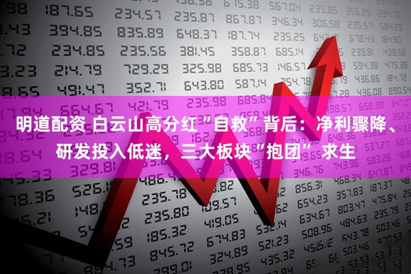 明道配资 白云山高分红“自救”背后：净利骤降、研发投入低迷，三大板块“抱团” 求生
