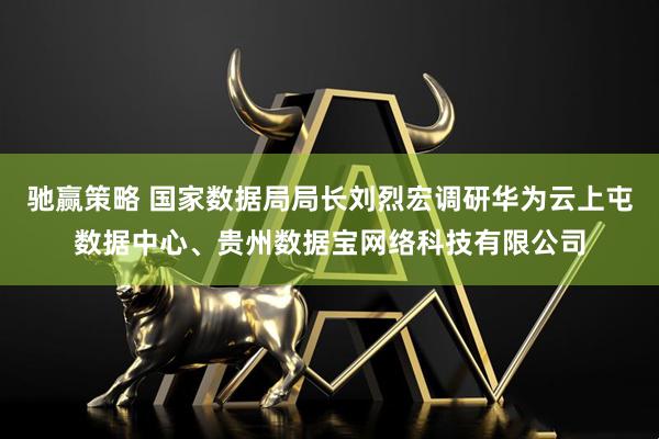 驰赢策略 国家数据局局长刘烈宏调研华为云上屯数据中心、贵州数据宝网络科技有限公司