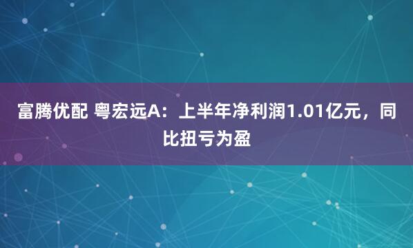 富腾优配 粤宏远A：上半年净利润1.01亿元，同比扭亏为盈