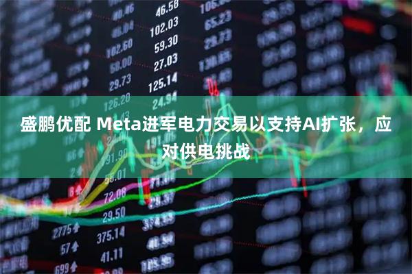 盛鹏优配 Meta进军电力交易以支持AI扩张，应对供电挑战