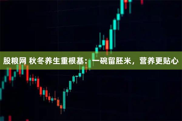 股粮网 秋冬养生重根基：一碗留胚米，营养更贴心