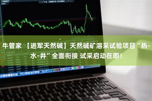 牛管家 【进军天然碱】天然碱矿溶采试验项目“热-水-井”全面衔接 试采启动在即!