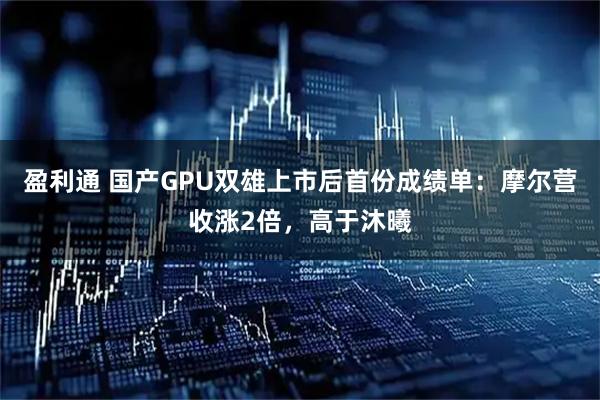 盈利通 国产GPU双雄上市后首份成绩单：摩尔营收涨2倍，高于沐曦